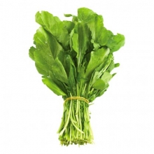 Φύλλα Baby Άγριας Ρόκας (100gr)