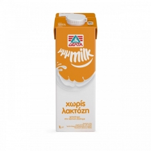 Δέλτα Daily χωρίς Λακτόζη (1lt)