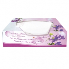 Χαρτομάντηλα Dian Κουτί (100τμχ)