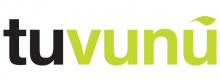 Σόδα Tuvunu 330ml