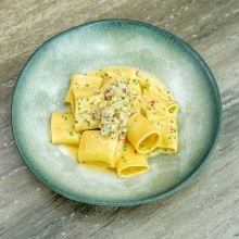 Pacheri