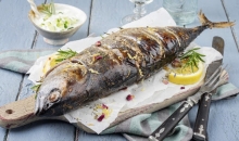 Παλαμίδα Φιλέτο