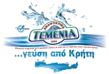 Τεμενίων Πορτοκαλάδα 1.5lt