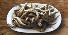 Αθερίνα Τηγανιτή