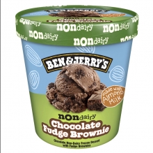 Ben and Jerrys Non Dairy Chocolate Fudge Brownie 465ml