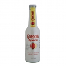 Gordons Space Gin 275ml