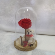 For Ever Roses Κόκκινο Λουλούδι σε Καμπάνα ύψους 28cm με Αρκουδάκι και Καρδούλα