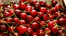 Βύσσινο Χίου (500gr)