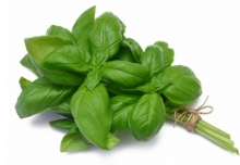 Βασιλικός Φρέσκος Κρήτης 40gr
