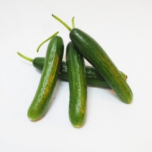 Αγγουράκια Νείλου Χίου Υπαίθρια (500gr)
