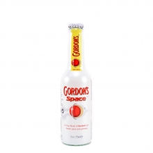 Gordons Space 250ml