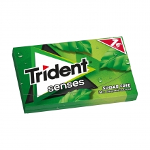 Trident Senses Δυόσμος 17gr