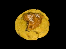 Soft Cookie Salted Caramel