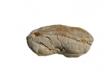 Τσιαπάτα Ψωμί