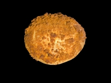 Η Μηλόπιτα Kourou