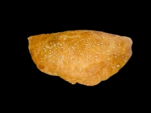 Η Μυτιληνιά