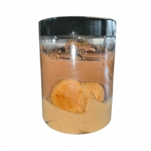 Προφιτερόλ Lotus