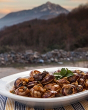 Σαλιγκάρια Στιφάδο