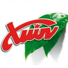 Αναψυκτικά Χιών 250ml