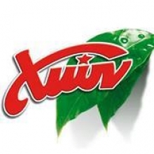 Γκαζόζα Χιών 330ml