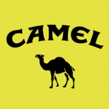 Camel