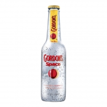 Gordons Space 275ml