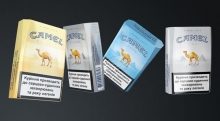 Camel