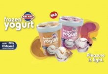 Frozen Yogurt With Sour Cherry 320gr