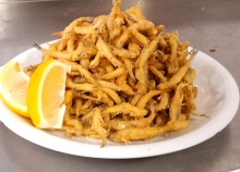 Αθερίνα Φρέσκια