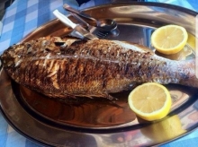 Συναγρίδα Ψητή 1.3kg