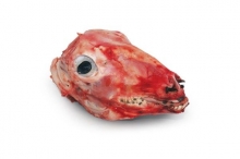 Κεφαλάκι Αρνίσιο Γάλακτος (1kg)