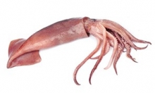 Καλαμάρι (500gr)