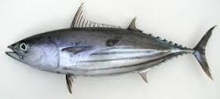Λακέρδα (1kg)