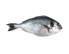 Τσιπούρα Α (500gr)