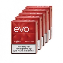 Evo Sticks Burgundy - 3.50€