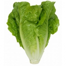 Μαρούλι (τεμάχιο)