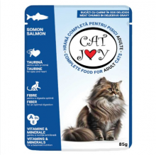 Cat Joy Φακελάκι με Σολομό 85gr (1+1 ΔΩΡΟ)