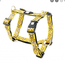 H - Harness Monkey Maniac M