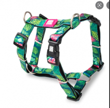 H - Harness Tropical M