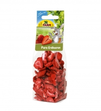 JR Farm Pure Strawberries για Όλα τα Τρωκτικά 20gr