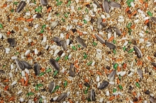 Royal Cockateil (250gr) Χύμα