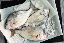 Σαργός (500gr)