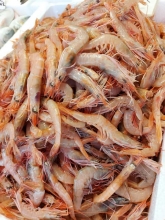 Γαρίδα (500gr)