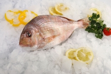 Φαγκρί (κιλό)