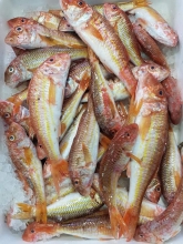 Μπαρμπούνια Β (500gr)