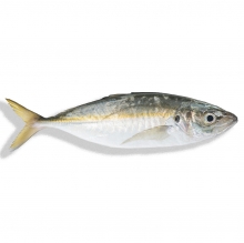 Ασπροσάφριδα - Κοκκάλια (500gr)