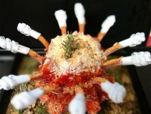 Κορώνα (κιλό)