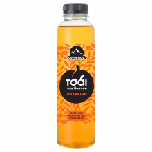 Όλυμπος Ice Tea Του Βουνού Ροδάκινο 500ml