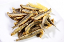 Γαύρος