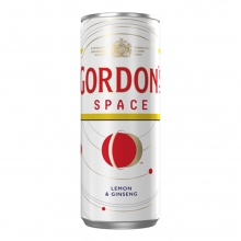 Gordons Space (250ml)
